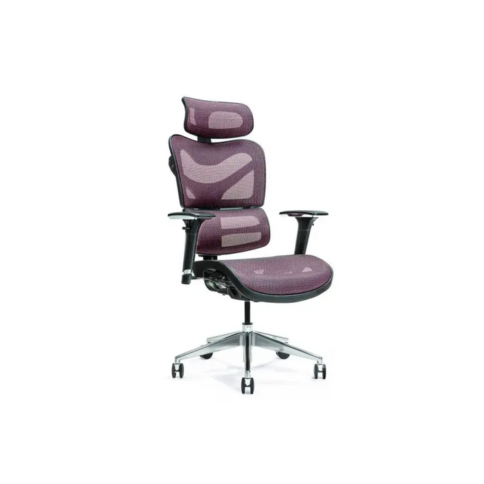 Ергономичен офис стол ERGO 600 слива