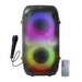 Esperanza EP156 BT FM LED RGB КАРАОКЕ Тонколона Черна 20W