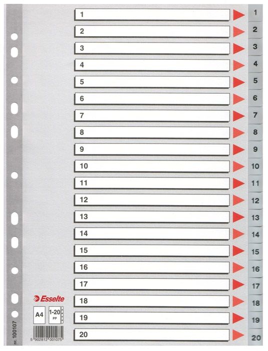 Разделител Esselte - А4, 1-20, сив, 10 броя