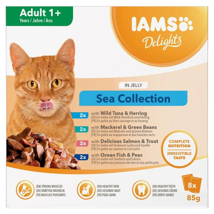 IAMS DELIGHTS Adult Sea in Jelly кутия – мокра храна за котки – 8x85 г
