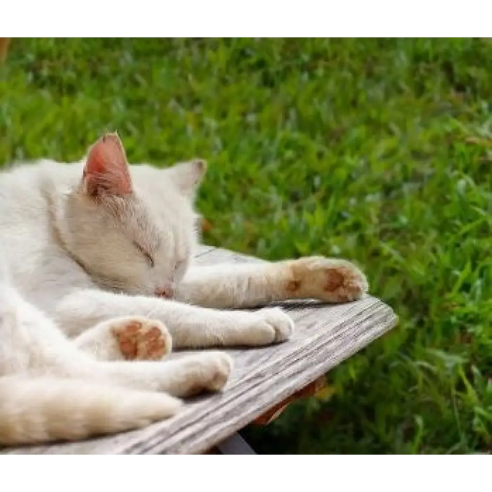 EZVIZ RM600 оранжева роботизирана косачка за трева