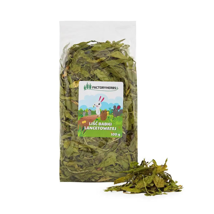 FACTORY HERBS Листа от живовляк - лакомство за гризачи