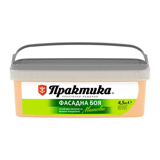 ФАСАДНА БОЯ МАНДАРИНА 4.5 KG PRAKTIKA