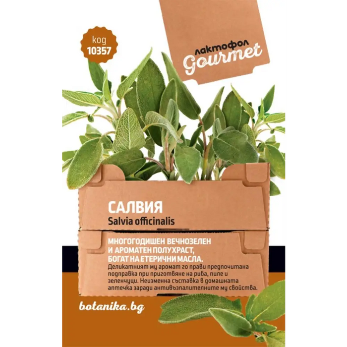 СЕМЕНА САЛВИЯ ГУРМЕ