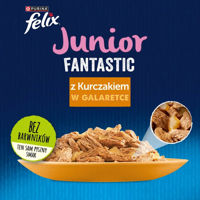 Felix Fanstastic Junior - мокра храна за котки - 85гр