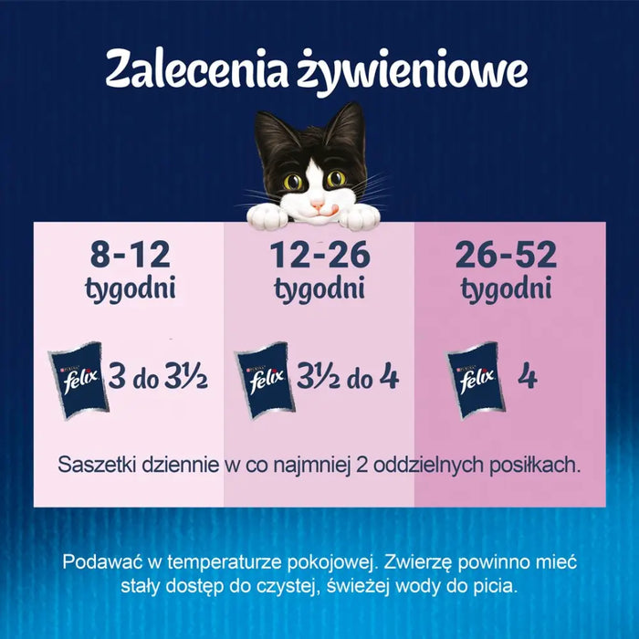 Felix Fanstastic Junior - мокра храна за котки - 85гр