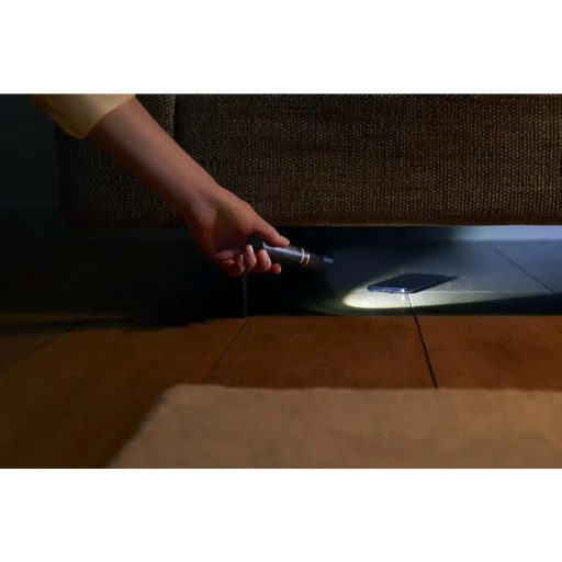 ФЕНЕР 400LM IPX4 PHILIPS