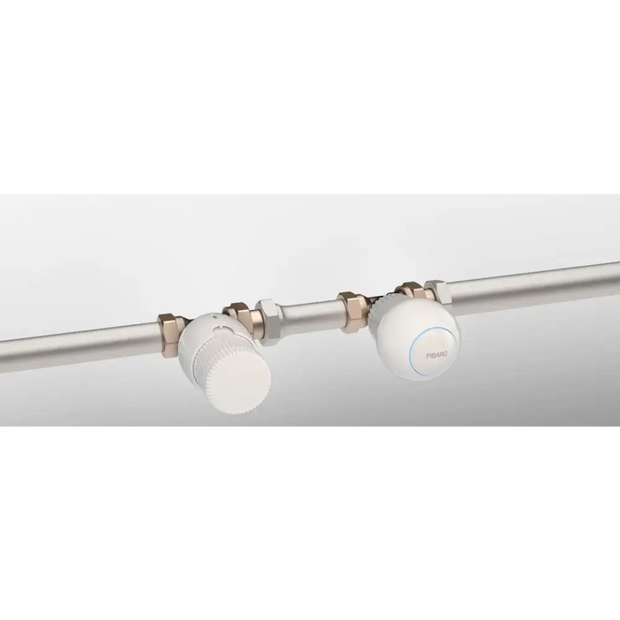Fibaro FGT-001 ZW5 EU