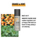 Фиксиращ Гел KMS 150 ml