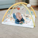 Fisher-Price Simply Senses Newborn Gym Baby Activity Mat