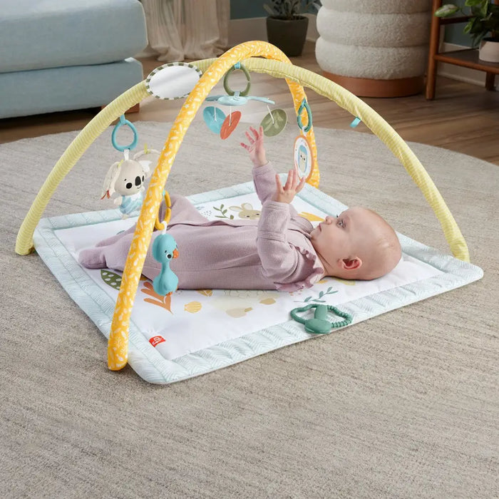 Fisher-Price Simply Senses Newborn Gym Baby Activity Mat