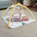 Fisher-Price Simply Senses Newborn Gym Baby Activity Mat