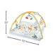 Fisher-Price Simply Senses Newborn Gym Baby Activity Mat