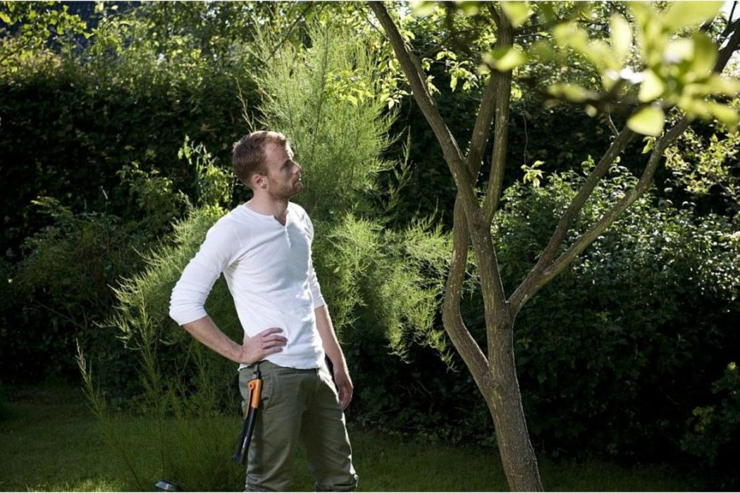 ТРИОН ЗА КЛОНИ СГЪВАЕМ 25СМ FISKARS