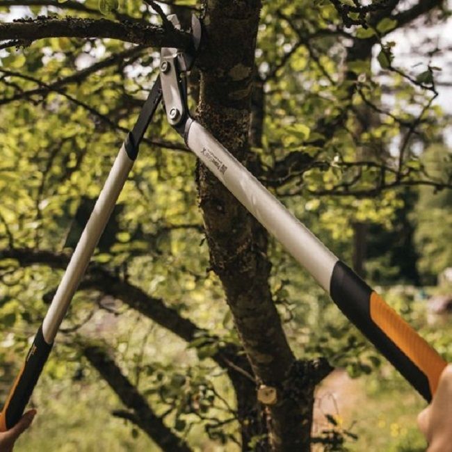 Овощарска ножица Fiskars - PowerGearX LX98-L