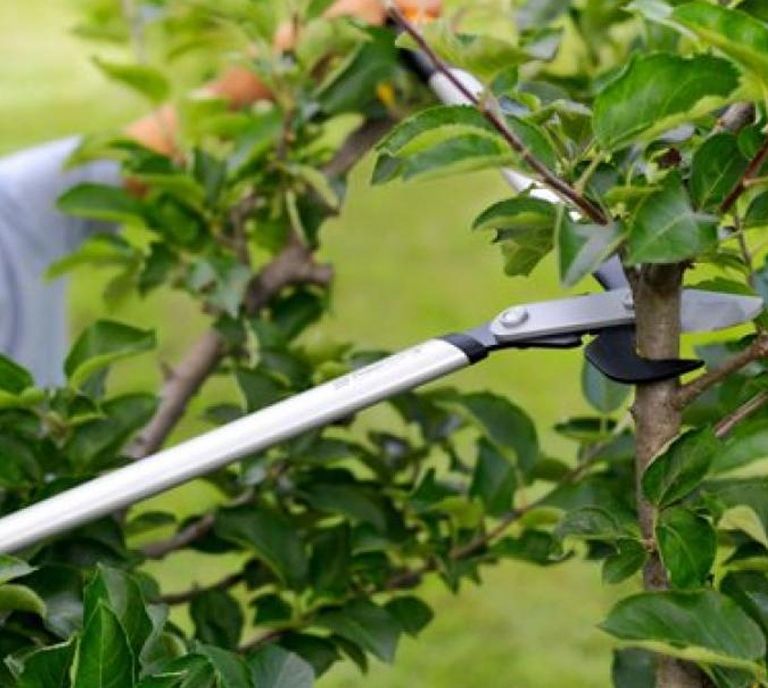 Градинска ножица за клони Fiskars - PowerGearX, M LX94, 640 mm, до 50 mm