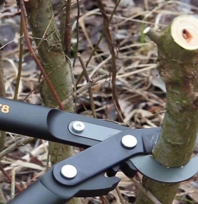 Градинска ножица за клони Fiskars - PowerGear, L78, 692 mm