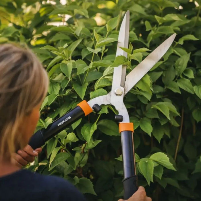 Ножица за храсти Fiskars - Solid, HS21, 55.5 cm