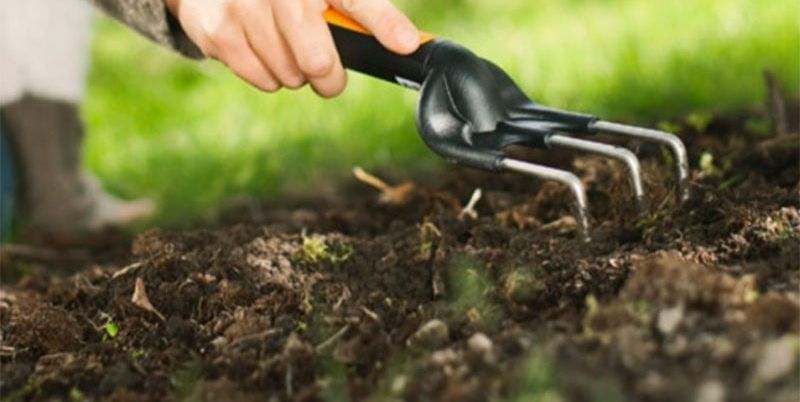 Градински култиватор Fiskars - Premium Planters, 3 зъба, 25 cm
