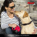 Flexi New Classic Dog Retractable повод 5м