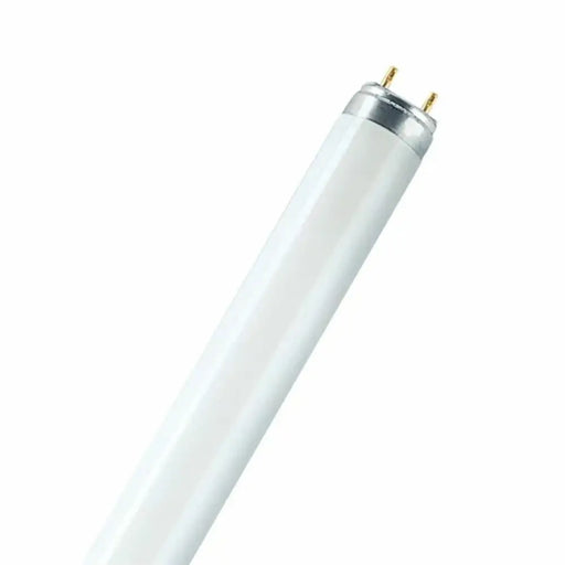 Флуоресцентна тръба Osram 18 W T8 1300 lm (6500 K)