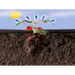 ФОЛИО ЗА ЯГОДИ TERRAPRO 1.4 X 10 М
