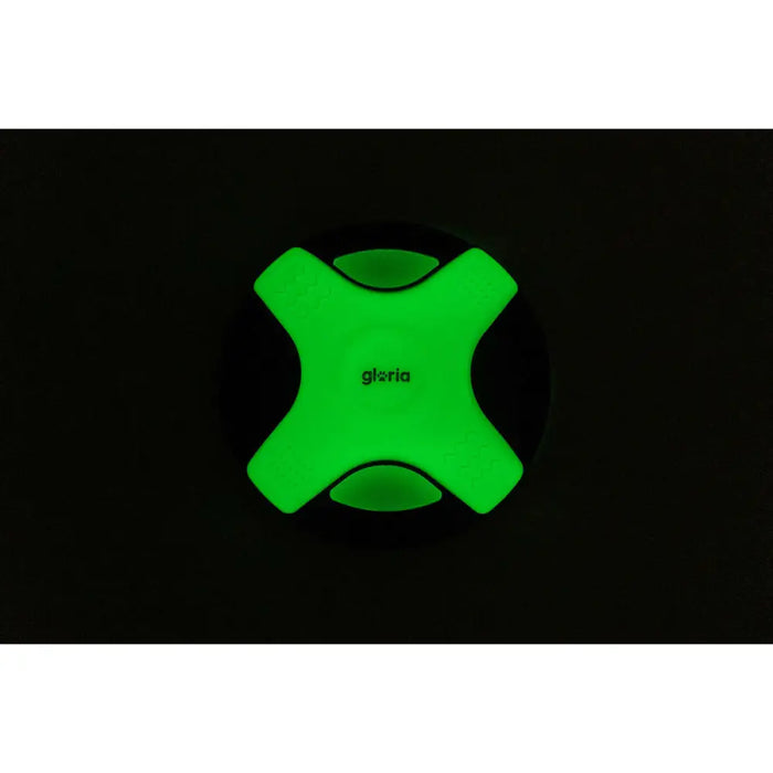 Frisbee Gloria Бял TPR 25 cm