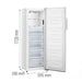 Фризер GORENJE FN617EEW5 240 л NoFrost 172 см