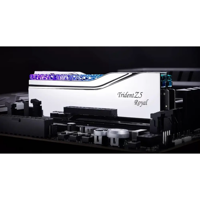 G.Skill F5-8400J4052G24GX2-TR5S модул памет 48 GB 2 x 24 GB