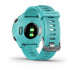 Garmin Forerunner 55 2,64 см (1,04’’) MIP 42 мм Цифров 208