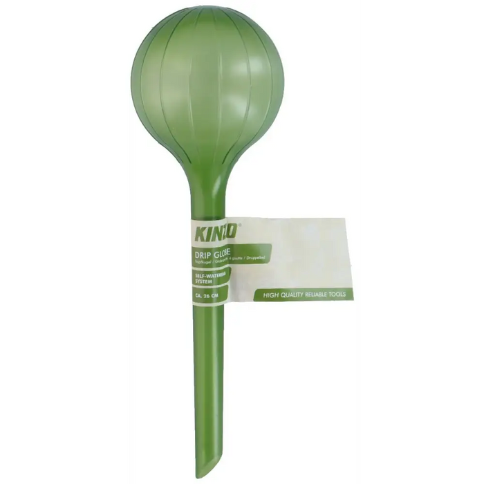 ГЛОБУС КАПКОВО НАПОЯВАНЕ ЗА САКСИИ