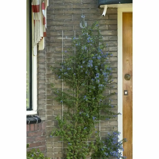 Градинска Ограда Nature Зелен Поцинкована Стомана 42,5 x