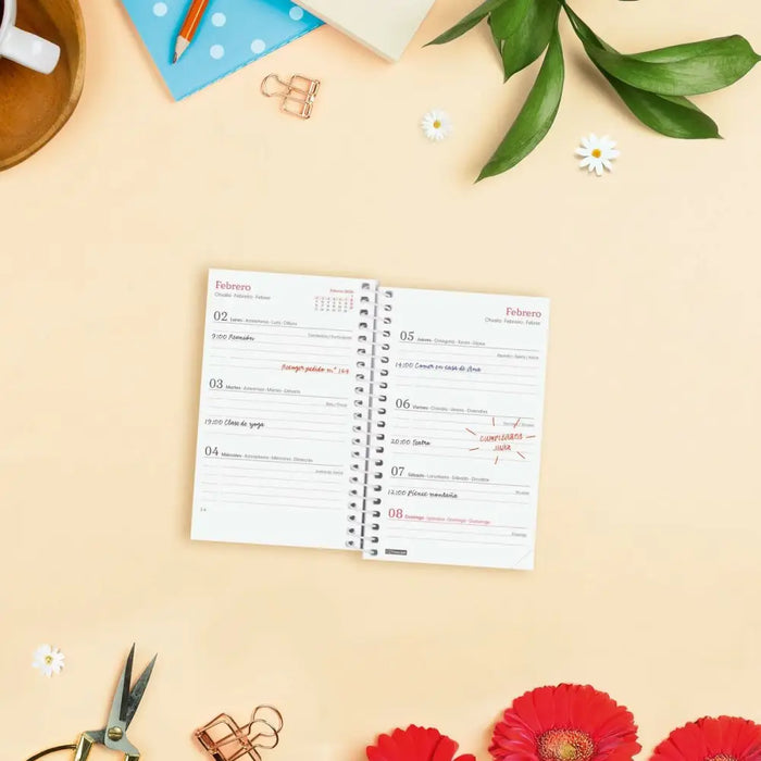 График Finocam DESIGN COLLECTION Ahora Mini 7,9 x 12,7 cm