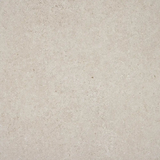 ГРАНИТОГРЕС ALAPLANA LOMMA BONE 60X60 CM