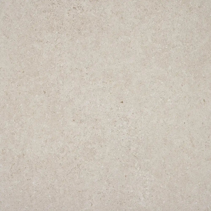 ГРАНИТОГРЕС ALAPLANA LOMMA BONE 60X60 CM