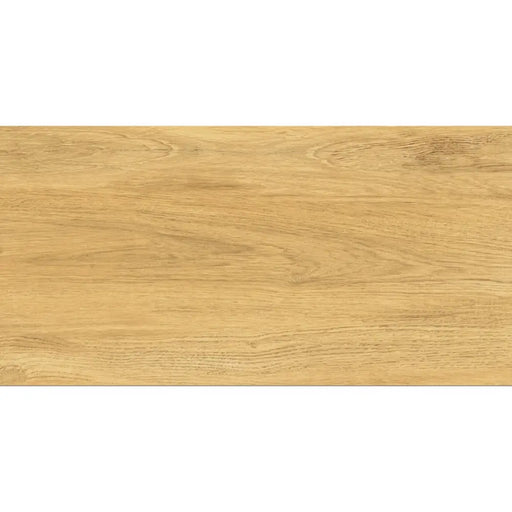ГРАНИТОГРЕС IZIDA GALANTE NATURAL 30.3X60.6 CM