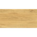 ГРАНИТОГРЕС IZIDA GALANTE NATURAL 30.3X60.6 CM