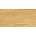 ГРАНИТОГРЕС IZIDA GALANTE NATURAL 30.3X60.6 CM
