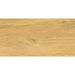 ГРАНИТОГРЕС IZIDA GALANTE NATURAL 30.3X60.6 CM
