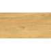 ГРАНИТОГРЕС PRACTIKA & COMFORT GALANTE NATURAL 30.3X60.6 CM
