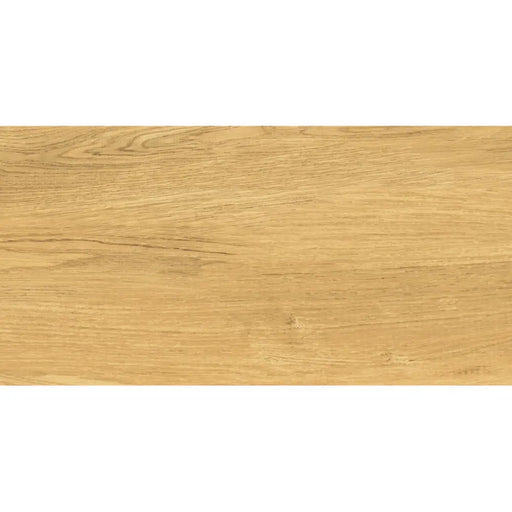 ГРАНИТОГРЕС PRACTIKA & COMFORT GALANTE NATURAL 30.3X60.6 CM