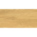 ГРАНИТОГРЕС PRACTIKA & COMFORT GALANTE NATURAL 30.3X60.6 CM