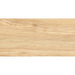 ГРАНИТОГРЕС PRACTIKA & COMFORT MONICA BEIGE 30.3X60.6 CM