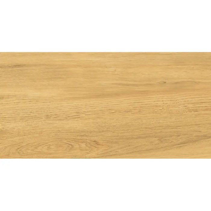 ГРАНИТОГРЕС PRACTIKA & COMFORT GALANTE NATURAL 30.3X60.6 CM