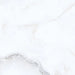 ГРАНИТОГРЕС WINASA CERAMICA WI-3001 60X60 CM