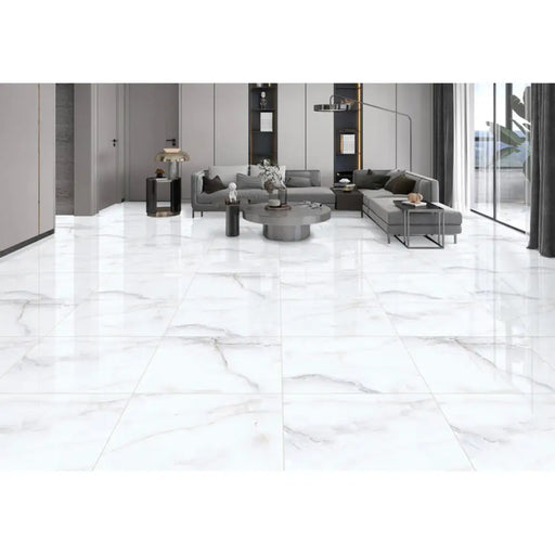ГРАНИТОГРЕС WINASA CERAMICA WI-3001 60X60 CM