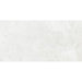 ГРАНИТОГРЕС PRACTIKA & COMFORT DEPERO WHITE 30.3X60.6 CM