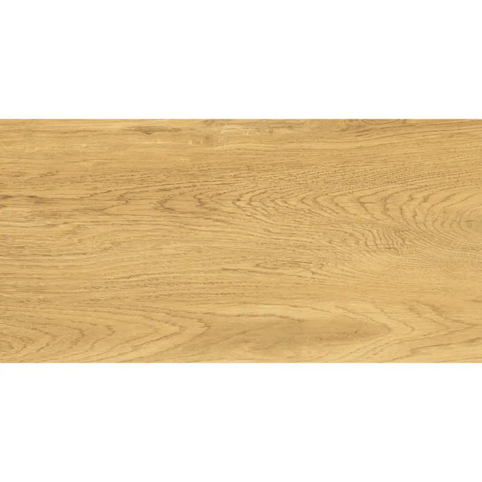 ГРАНИТОГРЕС PRACTIKA & COMFORT GALANTE NATURAL 30.3X60.6 CM