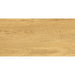 ГРАНИТОГРЕС PRACTIKA & COMFORT GALANTE NATURAL 30.3X60.6 CM