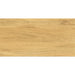 ГРАНИТОГРЕС PRACTIKA & COMFORT GALANTE NATURAL 30.3X60.6 CM